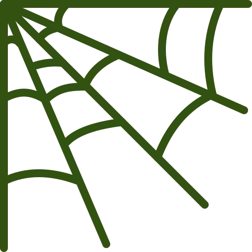 spiderweb (1) Services