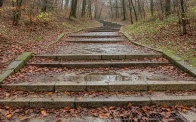 Bladeren worden glad wanneer ze nat blijven liggen op hellingen, trappen en toegangswegen.